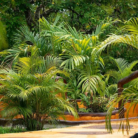 Hotel Heliconias Nature Inn & Hot Springs-2