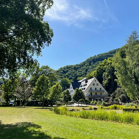 Hotel Alte Mühle-3