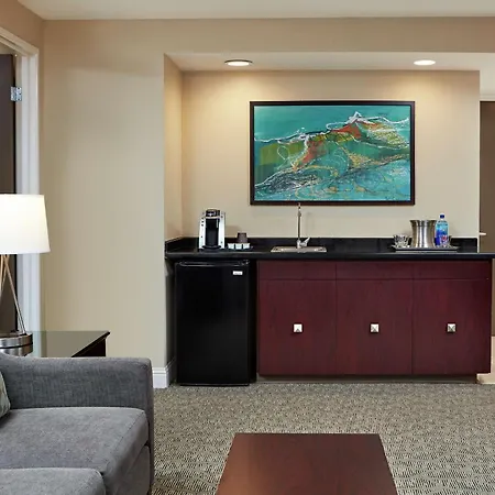 Hilton Houston Plaza/Medical Center-3