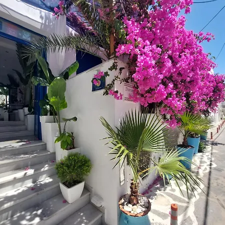 Doron Hotel Delfini-3