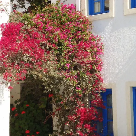 Creta Sun Hotel Studios-2