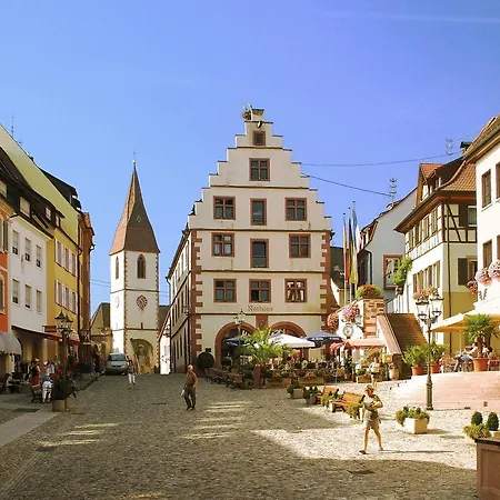 Hotel Engel-3