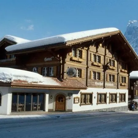 Hotel Steinbock Grindelwald-2