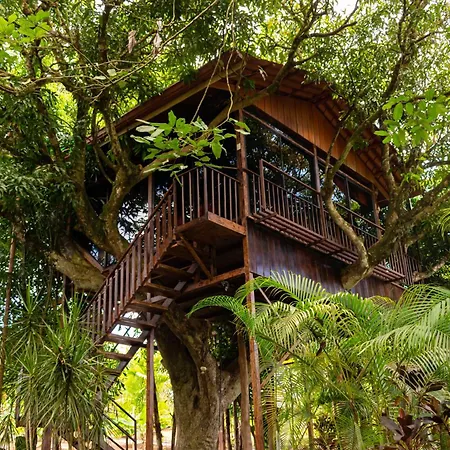 Hotel Heliconias Nature Inn & Hot Springs-3