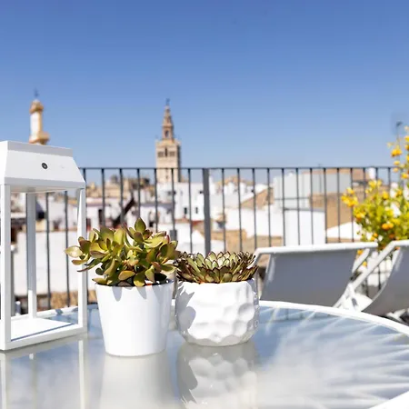 Hotel Amadeus Sevilla-3