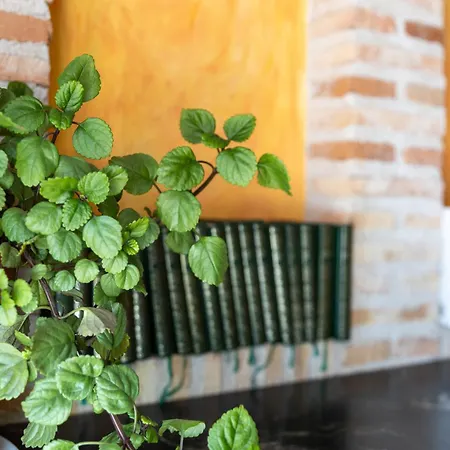 Hotel Pizarro-2