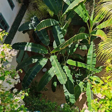 Riad Maison Bounouar-3