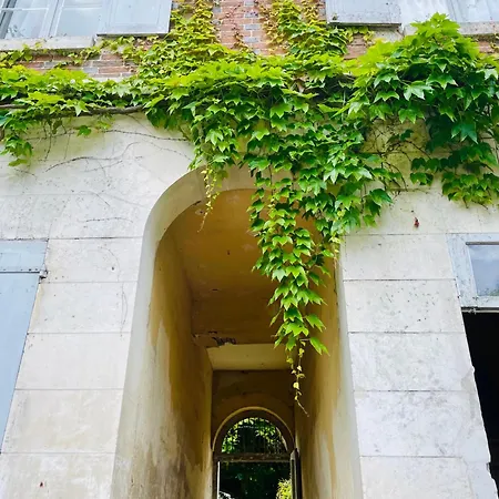 Il était une fois un jardin-2