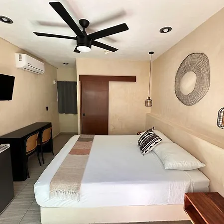 Hotel Caracol Isla Mujeres-3