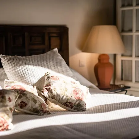 Hacienda de San Rafael-2