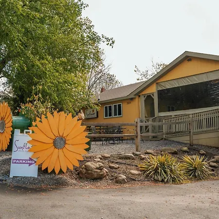 The Iris Motel-3