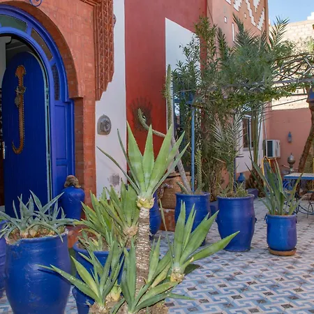 Le Petit Riad Maison D'Hotes-2