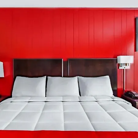Oyo Hotel Ridgeland East-3