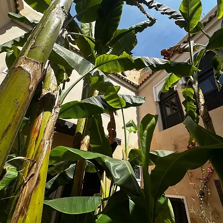 Riad Bamileke-2