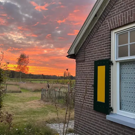 Erve Zonnehoeve B&B en Wijngaard-3