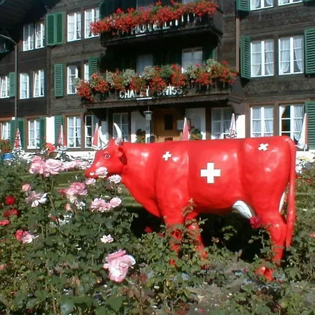 Hotel Chalet Swiss-2