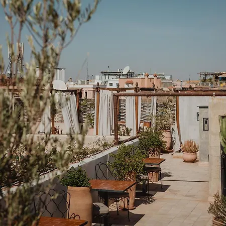 Riad Le Rihani-3