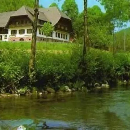 Hotel Restaurant Ochsenwirtshof-3