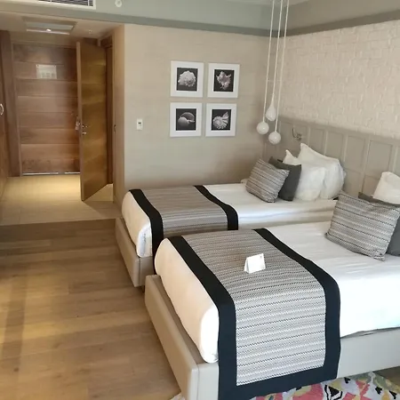 Acanthus Cennet Barut Collection-2