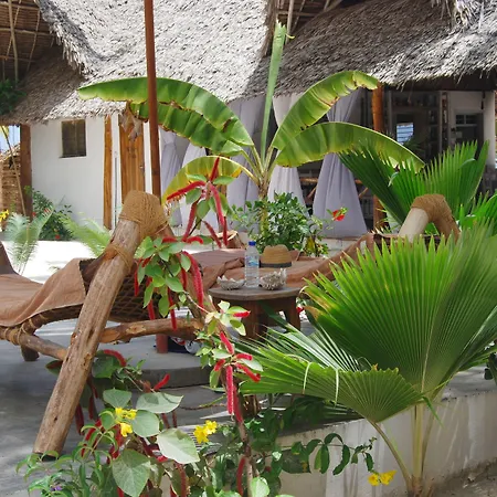 Sahari Zanzibar-2