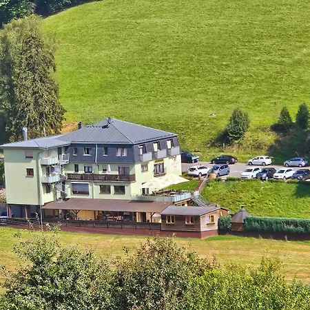 Hotel Grüner Baum mit Restaurant&Wellness-3