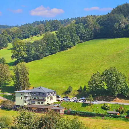Hotel Grüner Baum mit Restaurant&Wellness-2