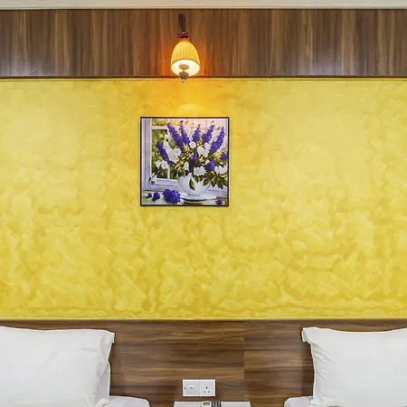 Golden Night Hotel-2