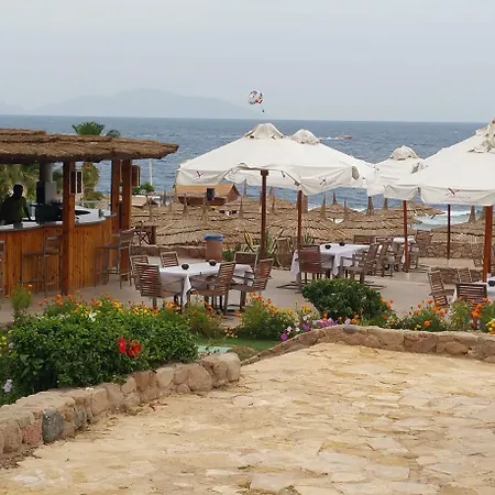 Xperience Hill-Top Beach Resort - Adults Only-3
