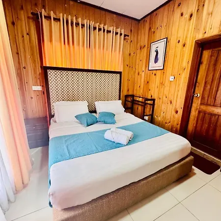 Single Tree Hotel-2