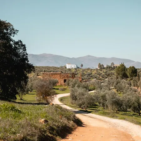 Finca las Calmas boutique hotel&retreats-3