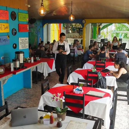 Hotel El Icaco Tortuguero-2
