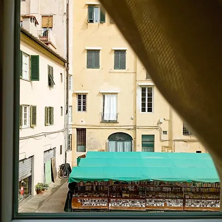 Madame Pucci-3