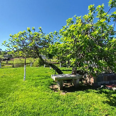 Olivo De Reis-2
