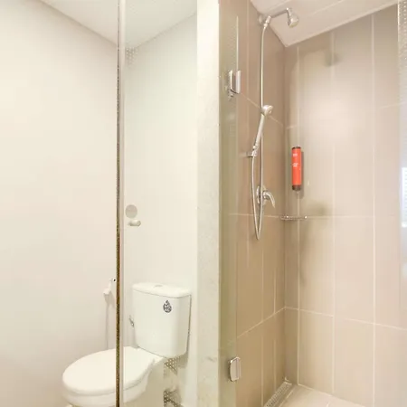 Ibis Paranagua-2