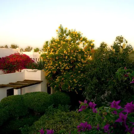 Mexicana Sharm Resort-2