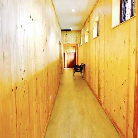 Single Tree Hotel-3