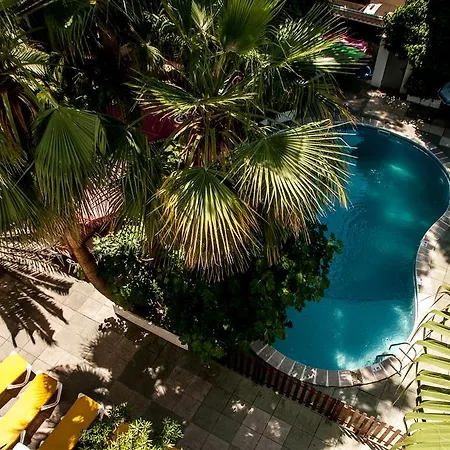 Hostal Alce-3