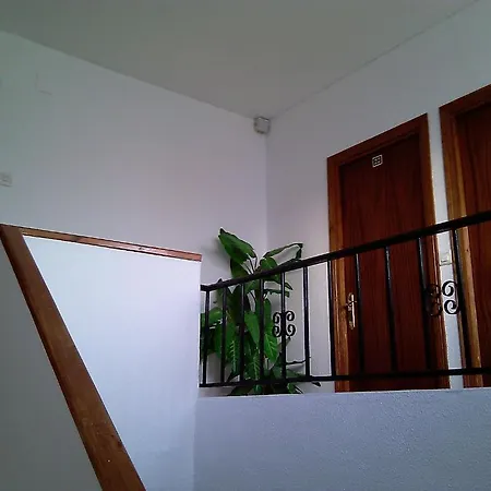 Pensión Ignacio-3