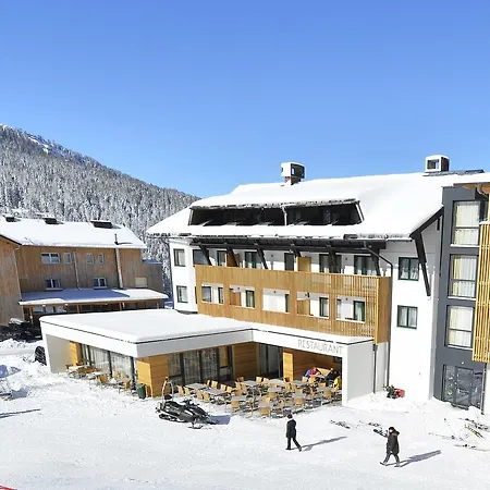 Almhotel Kaernten-3