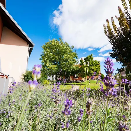Hotel Loewen Garni - B&B-3
