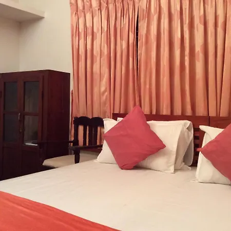 Veda Wellness B&B And Yoga Centre-3