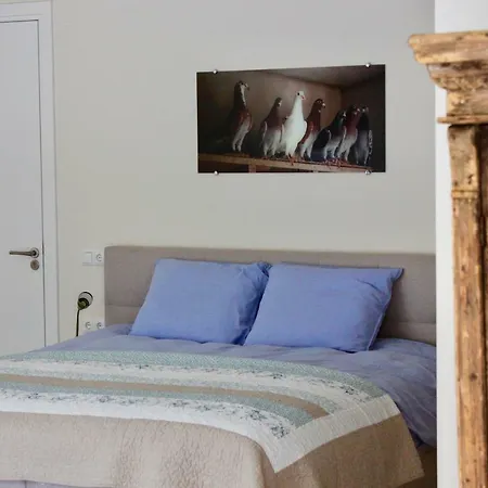 B&B de Sfeerhoeve-3