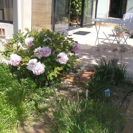 Le Jardin d'Adam-2