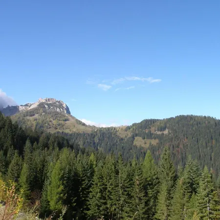 Alpenhotel Marcius-3