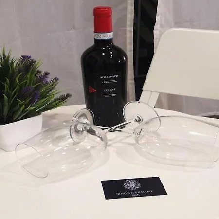 Domus Luigi Leone-2