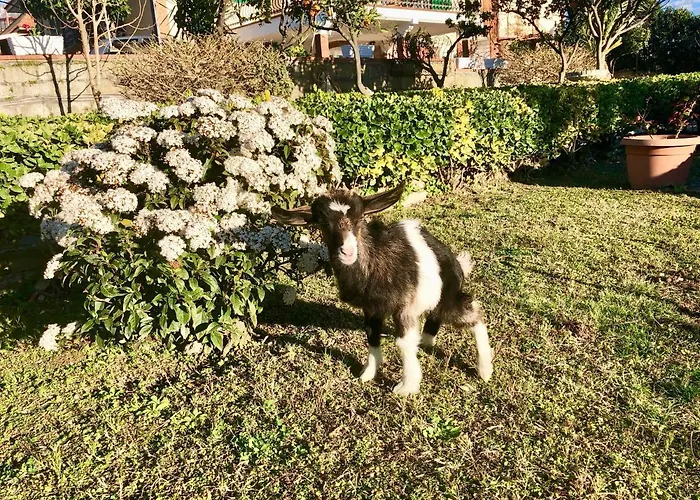 B&B Annetta Ercolano