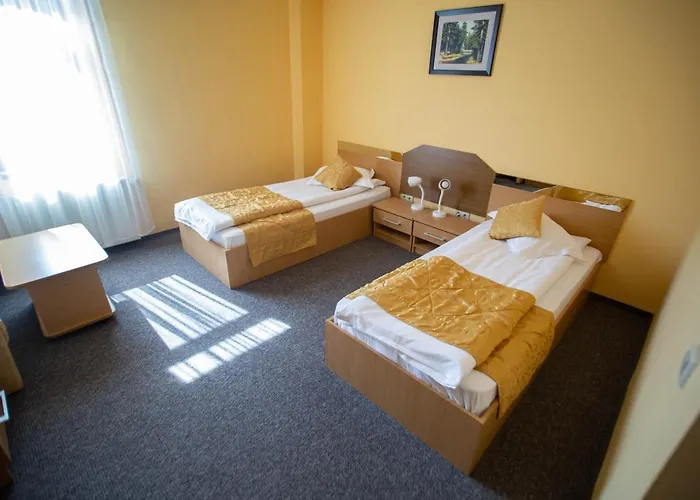 Hotel Alexandra Timisoara