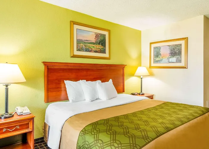 Rodeway Inn Central Richmond
