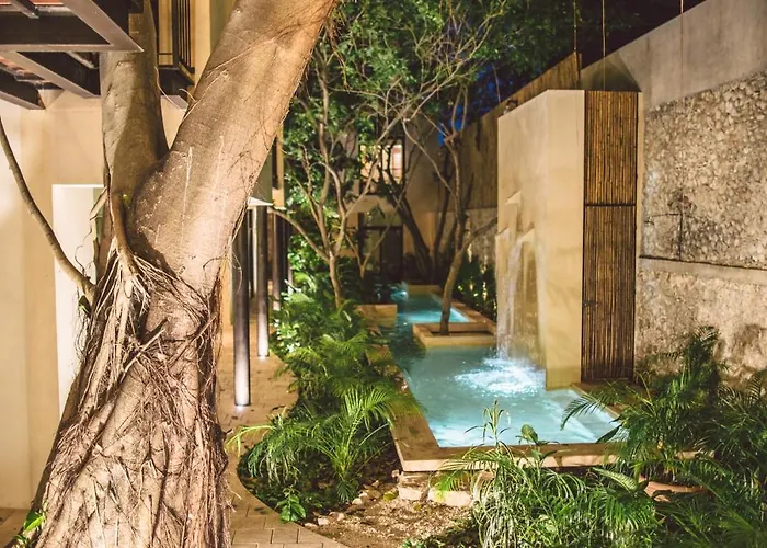 Treehouse Boutique Hotel, An Adults Only Boutique Hotel