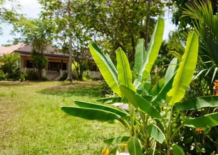 Hotel Treeya Lanta Ko Lanta